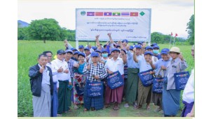 ကျောက်ဆည်မြို့နယ်တွင် မဲခေါင်-လန်ချန်း ပူးပေါင်းဆောင်ရွက်မှု အထူးရန်ပုံငွေ (၂၀၂၂) ဖြင့် ဆောင်ရွက်သော နှမ်းသီးနှံသုတေသန စမ်းသပ်ကွက် ကွင်းသရုပ်ပြပွဲကို ကျင်းပ