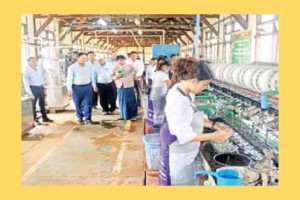 ဒုတိယဝန်ကြီး ဒေါက်တာအောင်ကြီး ပိုးချည်ထုတ်လုပ်ခြင်းနှင့် ပတ်သက်သော သုတေသနလုပ်ငန်းများ ကြည့်ရှုစစ်ဆေး