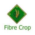 Fibre Crop