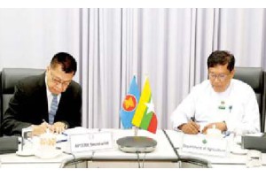 ငလျင်ဘေးသင့် ပြည်သူများအတွက် ကိုရီးယားသမ္မတနိုင်ငံမှ ဆန် တန် ၃၀၀၀၊ တရုတ်ပြည်သူ့သမ္မတနိုင်ငံမှ ဆန် ၂၇၅ တန် ထပ်မံလှူဒါန်း