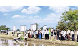 ပန်းတိုင်အထွက်နှုန်းရရှိရေး တောင်သူနည်းပညာပေး သရုပ်ပြပွဲပြုလုပ်