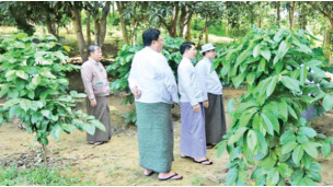  မြေနိမ့်ကော်ဖီ စိုက်ပျိုးလုပ်ကိုင်လိုသူများအနေဖြင့် နည်းပညာအပါအဝင် အကူအညီများလိုအပ်ပါက စိုက်ပျိုးရေး၊မွေးမြူရေးနှင့်ဆည်မြောင်းဝန်ကြီးဌာန ပြည်ထောင်စုဝန်ကြီးရုံးတွင် ဆက်သွယ်ဆောင်ရွက်နိုင်