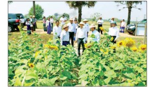 Seed Fair 2026 (မျိုးစေ့ပြပွဲ ၂၀၂၆) ကျင်းပ