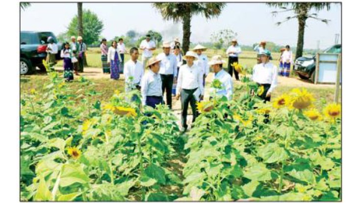 Seed Fair 2026 (မျိုးစေ့ပြပွဲ ၂၀၂၆) ကျင်းပ