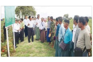 မန္တလေးတိုင်းဒေသကြီး မိတ္ထီလာခရိုင်အတွင်းရှိ ရမည်သင်း၊ ပျော်ဘွယ်နှင့် မိတ္ထီလာမြို့နယ်များရှိတောင်သူများနှင့် တွေ့ဆုံ