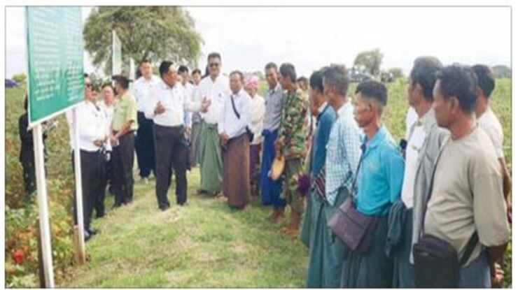 မန္တလေးတိုင်းဒေသကြီး မိတ္ထီလာခရိုင်အတွင်းရှိ ရမည်သင်း၊ ပျော်ဘွယ်နှင့် မိတ္ထီလာမြို့နယ်များရှိတောင်သူများနှင့် တွေ့ဆုံ