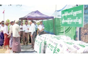 မကွေးတိုင်းဒေသကြီး၏ စိုက်ပျိုး၊ မွေးမြူရေးကဏ္ဍ တိုးမြှင့်လုပ်ကိုင်နိုင်ရေး ကွင်းဆင်းဆောင်ရွက်