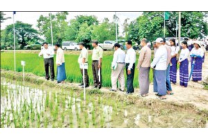 ဒုတိယဝန်ကြီး ဒေါက်တာရဲတင့်ထွန်း ကျုံပျော်မြို့နယ်၌ တောင်သူများနှင့်တွေ့ဆုံ