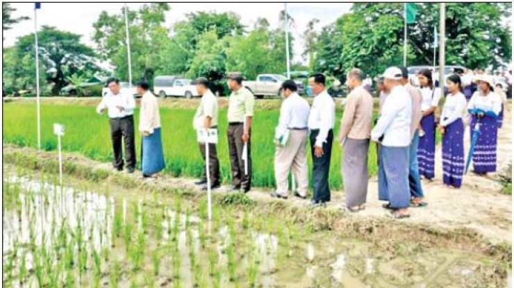 ဒုတိယဝန်ကြီး ဒေါက်တာရဲတင့်ထွန်း ကျုံပျော်မြို့နယ်၌ တောင်သူများနှင့်တွေ့ဆုံ
