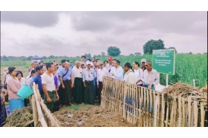 ဓာတ်မြေဩဇာသုံးစွဲမှုလျှော့ချ၍ သဘာဝမြေဩဇာများနှင့် စနစ်တကျတွဲဖက်အသုံးပြုရေး ကွင်းသရုပ်ပြပွဲဆောင်ရွက်