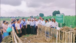 ဓာတ်မြေဩဇာသုံးစွဲမှုလျှော့ချ၍ သဘာဝမြေဩဇာများနှင့် စနစ်တကျတွဲဖက်အသုံးပြုရေး ကွင်းသရုပ်ပြပွဲဆောင်ရွက်