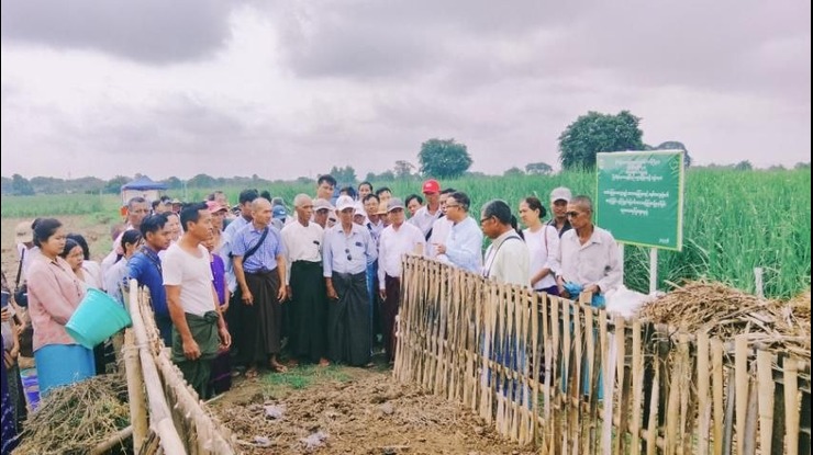 ဓာတ်မြေဩဇာသုံးစွဲမှုလျှော့ချ၍ သဘာဝမြေဩဇာများနှင့် စနစ်တကျတွဲဖက်အသုံးပြုရေး ကွင်းသရုပ်ပြပွဲဆောင်ရွက်