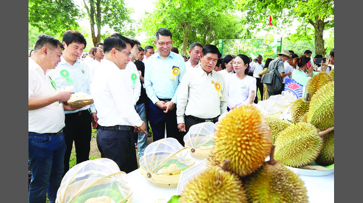မြေပဒေသာဥယျာဉ်ခြံ၌ မြန်မာ့ဒူးရင်းပွဲတော် ၂၀၂၆ ကျင်းပ