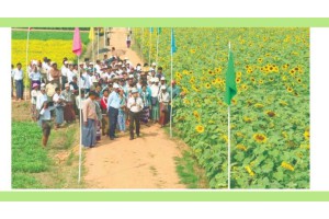 Seed Fair 2026 (မျိုးစေ့ပြပွဲ ၂၀၂၆) တတိယနေ့ ဆက်လက်ကျင်းပ