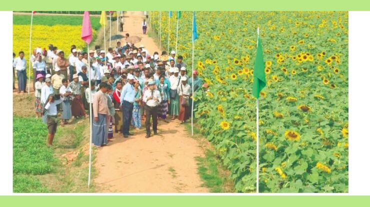 Seed Fair 2026 (မျိုးစေ့ပြပွဲ ၂၀၂၆) တတိယနေ့ ဆက်လက်ကျင်းပ