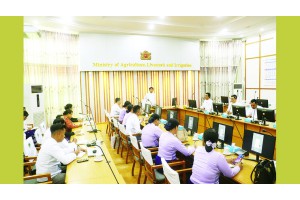 တောင်သူကြီးAiဖွံ့ဖြိုးတိူးတက်ရေး