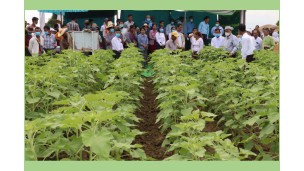 စိုက်ပျိုးသည့်သီးနှံ၏ အာဟာရလိုအပ်မှု အပေါ် အခြေခံ၍ သွင်းအားစု မြေဩဇာ အချိုးအစား မှန်ကန်စွာ အသုံးပြုရန် လိုအပ်