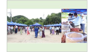 ကိုယ်တိုင် စိုက်ပျိုး မွေးမြူ ထုတ်လုပ်သူများ၊ လက်လီ လက္ကား အခွန်လွတ်ဈေး နေပြည်တော်၊ မြို့မဈေးတွင် ဖွင့်လှစ်ရောင်းဝယ်သူများ ဖြင့် စည်ကား