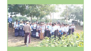 နေကြာသီးနှံမျိုးစေ့ထုတ်လုပ်ခြင်းနှင့် စိုက်ပျိုးထုတ်လုပ်ခြင်း နည်းပညာသင်တန်းသားများ နေကြာမျိုးသစ် ခြောက်မျိုး ယှဉ်ပြိုင်စမ်းသပ်စိုက်ကွင်းအား ပူးပေါင်းပါဝင် အကဲဖြတ်
