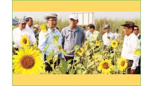 လယ်ယာကုန်ထုတ်လုပ်မှု တိုးတက်ရေးနှင့် စားနပ်ရိက္ခာဖူလုံပိုလျှံရေး အားလုံးပူးပေါင်းကြိုးပမ်းရန် လိုအပ်