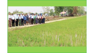 စပါးအပါအဝင် တစ်နှစ် နှစ်သီးမှ သုံးသီးစိုက်ပျိုးနိုင်ရန် ဒေသရေမြေ၊ ရာသီဥတုနှင့် ကိုက်ညီသည့် သက်တမ်းတို စပါးကောင်းမျိုးသန့်များ ပြောင်းလဲသုံးစွဲရန် လိုအပ်