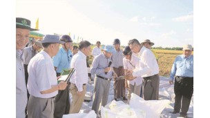 ထောပတ်သီးနှံ စိုက်ပျိုးထုတ်လုပ်မှု၊ ပြည်ပတင်ပို့မှုနှင့် စိန်ခေါ်မှုများ အလုပ်ရုံဆွေးနွေးပွဲ ကျင်းပ