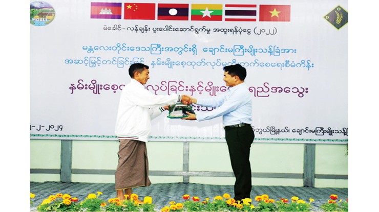 နှမ်းမျိုးစေ့ထုတ်လုပ်ခြင်းနှင့် မျိုးစေ့အရည်အသွေးထိန်းသိမ်းခြင်းသင်တန်း ဖွင့်လှစ်