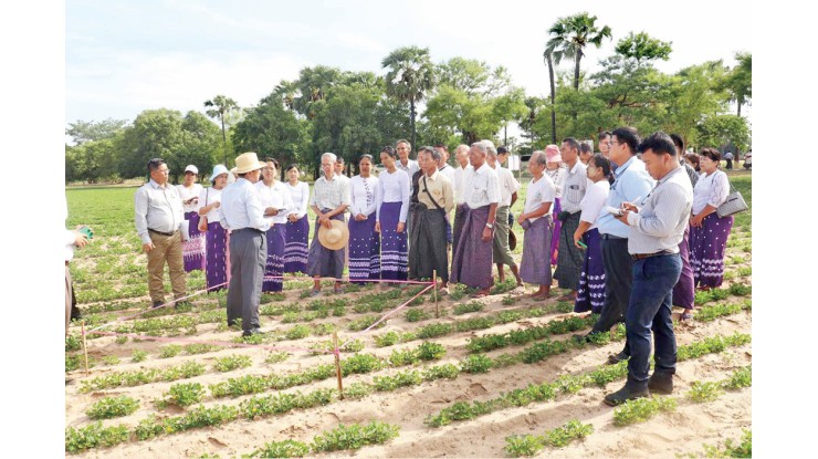 ဒုတိယဝန်ကြီး ဒေါက်တာတင်ထွဋ် မြန်မာနိုင်ငံအလယ်ပိုင်း အပူပိုင်းဒေသ ၏ လယ်ယာကုန်ထုတ်စွမ်းအားတိုးတက်ရေး ကွင်းဆင်းဆောင်ရွက်
