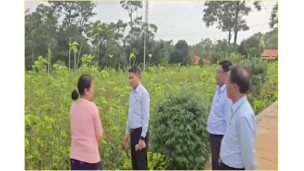 စိုက်ပျိုးရေး၊မွေးမြူရေးနှင့်ဆည်မြောင်းဝန်ကြီးဌာန၊ ပြည်ထောင်စုဝန်ကြီး ဦးမင်းနောင်သည် မန္တလေးတိုင်းဒေသကြီး၊ ပြင်ဦးလွင်ရှိ ၊ ပိုးသုတေသန နှင့် နည်းပညာဖွံ့ဖြိုးရေးဗဟိုဌာနအား ကြည့်ရှုစစ်ဆေး
