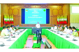 ပိုးသတ်ဆေးမှတ်ပုံတင်အဖွဲ့၏ (၄၆) ကြိမ်မြောက် အစည်းအဝေးကျင်းပ
