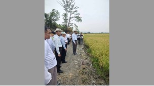 ကလေးမြို့နယ်ရှိ နွေစပါးမျိုးစေ့ထုတ်စိုက်ခင်း စုပေါင်းမျိုးကွဲပယ်ခြင်း ကွင်းသရုပ်ပြပွဲ