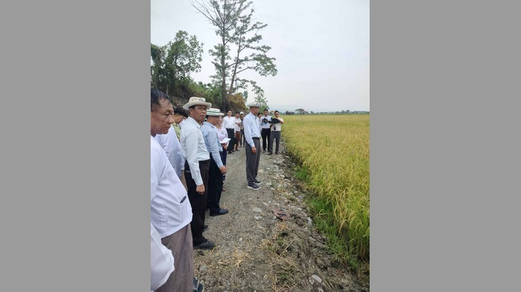 ကလေးမြို့နယ်ရှိ နွေစပါးမျိုးစေ့ထုတ်စိုက်ခင်း စုပေါင်းမျိုးကွဲပယ်ခြင်း ကွင်းသရုပ်ပြပွဲ