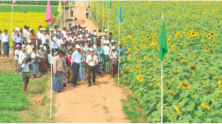 Seed Fair 2026 (မျိုးစေ့ပြပွဲ ၂၀၂၆) တတိယနေ့ ဆက်လက်ကျင်းပ