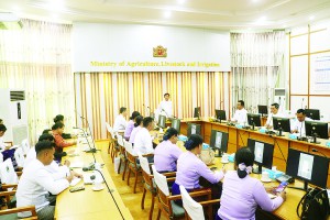 တောင်သူကြီးAiဖွံ့ဖြိုးတိူးတက်ရေး