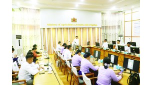 တောင်သူကြီးAiဖွံ့ဖြိုးတိူးတက်ရေး