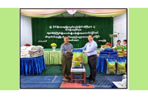 သာစည်မြို့နယ်၌ တောင်သူများအား နွေစပါးမိုးကြိုဝါမျိုးစေ့ထောက်ပံ့ပေးအပ်ပွဲနှင့် ဆီထွက်သီးနှံ ဖွံဖြိုးတိုးတက်ရေး နည်းပညာပေးသင်တန်းပို့ချ