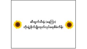 ဆီထွက်သီးနှံ (နေကြာ) တိုးချဲ့စိုက်ပျိုးထုတ်လုပ်ရေးစီမံကိန်း