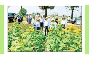 Seed Fair 2026 (မျိုးစေ့ပြပွဲ ၂၀၂၆) ကျင်းပ