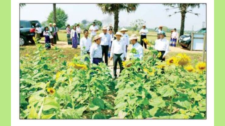 Seed Fair 2026 (မျိုးစေ့ပြပွဲ ၂၀၂၆) ကျင်းပ