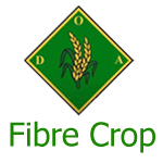 Fibre Crop