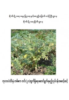 ကုလားပဲ စိုက်ပျိုးနည်းစနစ်