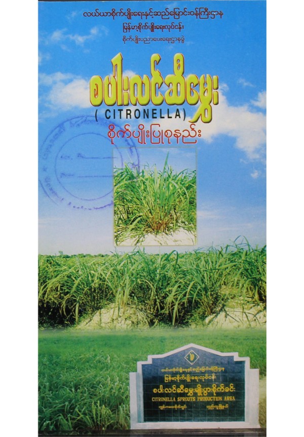 စပါးလင်ဆီမွှေး စိုက်ပျိုးနည်းစနစ်