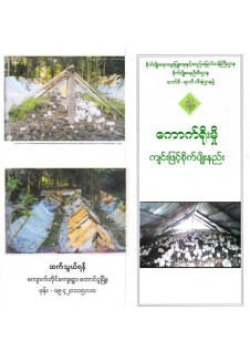 ကောက်ရိုးမှို ကျင်းဖြင့် စိုက်ပျိုးနည်းစနစ်