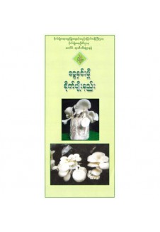 ငွေနှင်းမှို စိုက်ပျိုးနည်းစနစ်