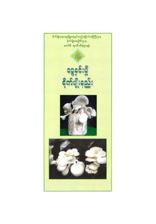 ငွေနှင်းမှို စိုက်ပျိုးနည်းစနစ်