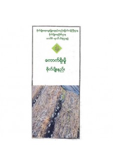 ကောက်ရိုးမှို စိုက်ပျိုးနည်းပညာ
