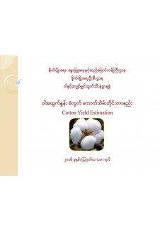 ဝါအထွက်နှုန်း စံကွက် ကောက်သိမ်း တိုင်းတာနည်းစနစ်