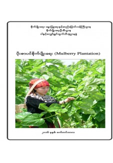 ပိုးစာပင်စိုက်ပျိုးနည်းစနစ်