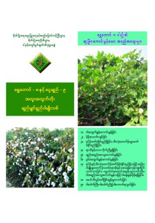 ရွှေတောင်_၈ နှင့် ငွေချည်_၉ အထူးအထွက်တိုး ချည်မျှင်ရှည်ဝါ မျိုးသစ်