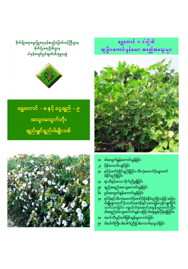 ရွှေတောင်_၈ နှင့် ငွေချည်_၉ အထူးအထွက်တိုး ချည်မျှင်ရှည်ဝါ မျိုးသစ်